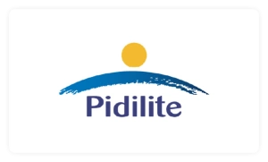 pidi